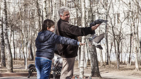 Pushkino, Russia, on April 11, 2015. People feed pigeons in the boulevard in the sunny spring afternoon