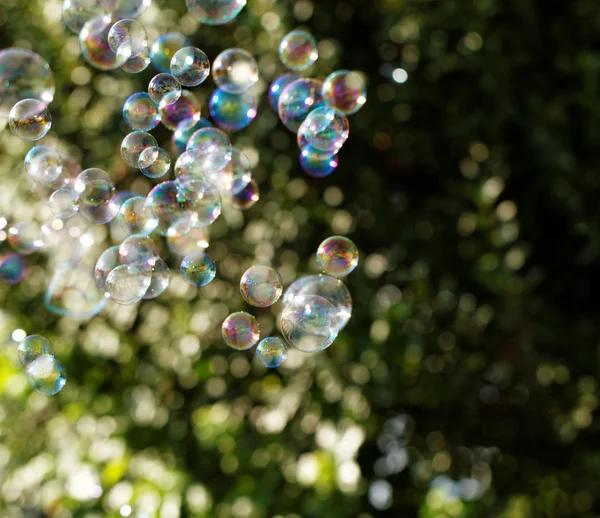 Soap bubbles from blower