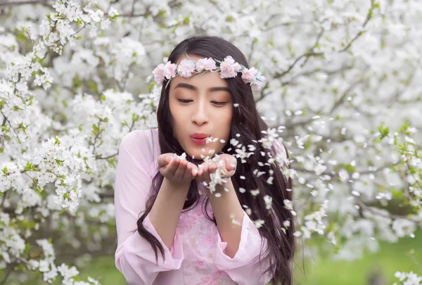 Girl in Pink Ao Dai blowing white cherry petals from her palms