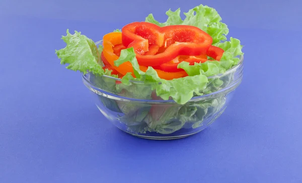 Picture of a plate with cut pepper and green lettuce