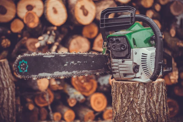 Professional chainsaw blade cutting log of wood