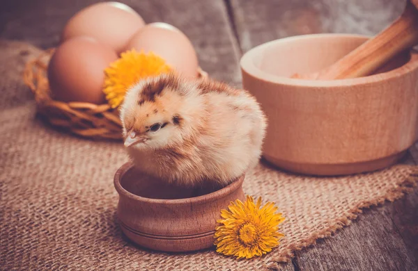Small chick with egg on the wooden table