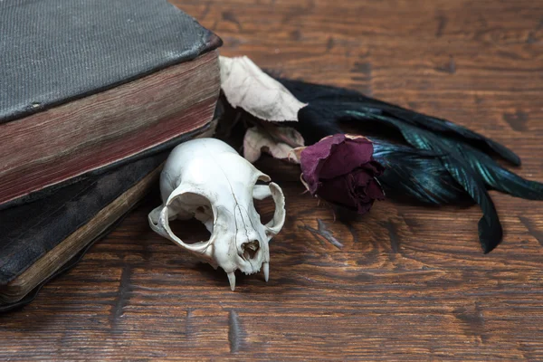 Vintage witchcraft still life