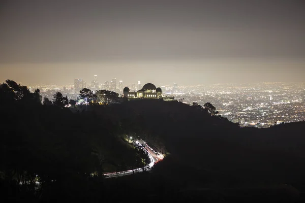 Downtown Los Angeles Night Fog