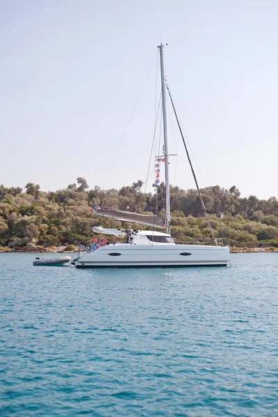 Sailing catamaran in the sea