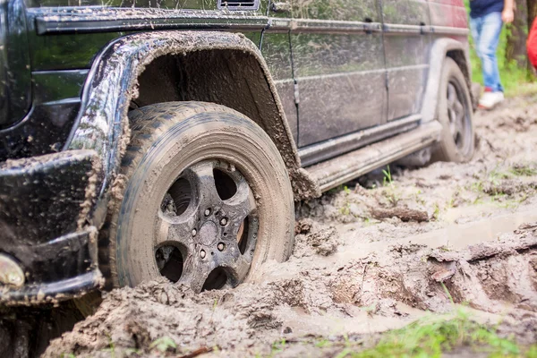 SUV got stuck in the mud in the forest, off-road