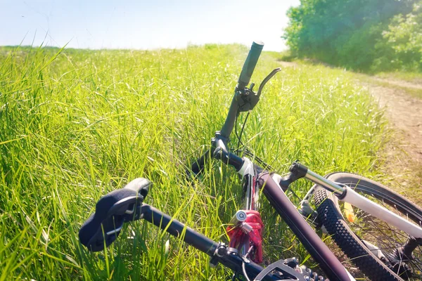 Tired bicycle lying in the grass