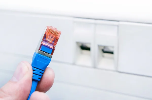 Hand holding ethernet cable. Socket installation in background