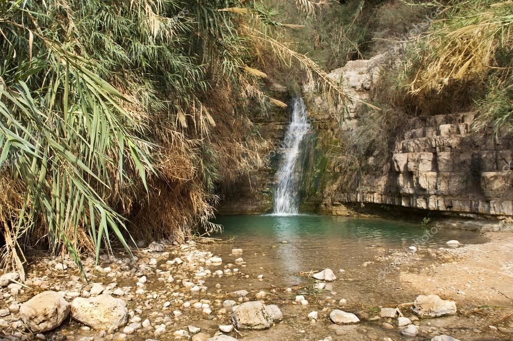 Resultado de imagen de parque nacional ein gedi