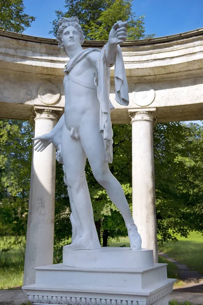 Statue of Apollo Belvedere in Pavlovsk Park, Saint Petersburg