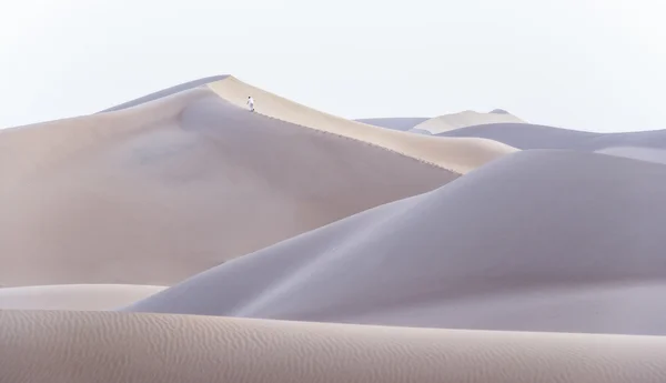 Sahara dunes