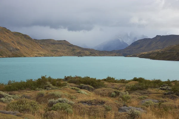 Rio Paine in Torres del Paine National Park