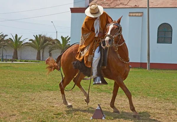 Paso Horse and Rider