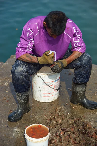 Fisherman at work