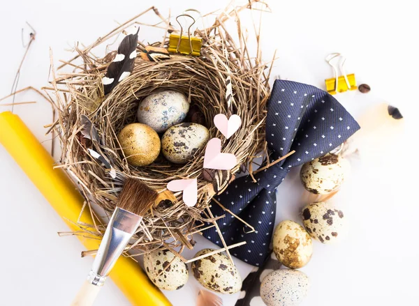 Photo with Easter eggs nest brush and feathers on a white studio