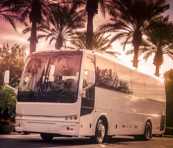 Tourist bus on the road