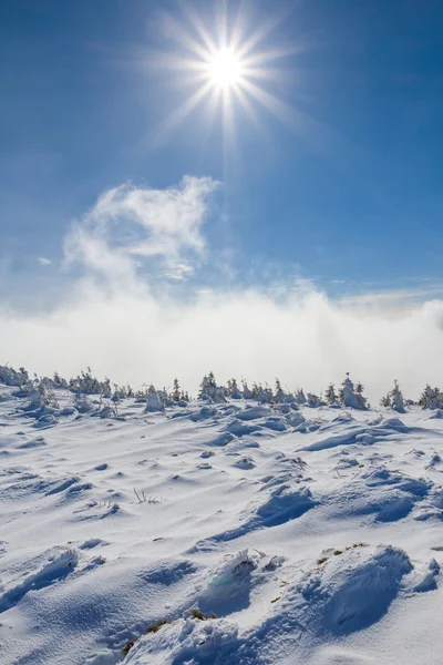 Snowbound winter plain by a sunny day