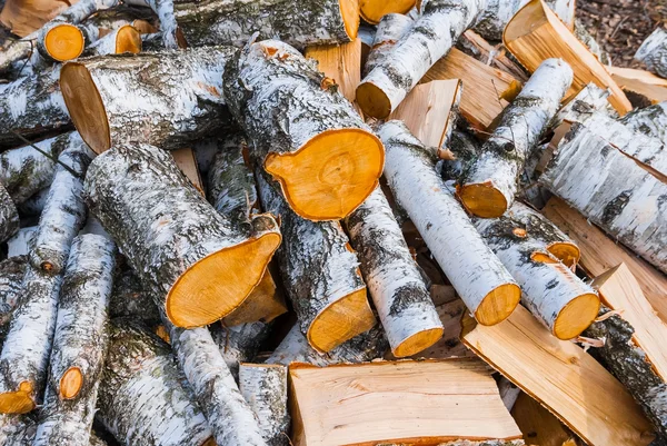 Heap of birch log