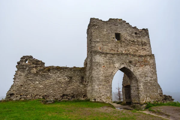 Old castle ruin in a mist