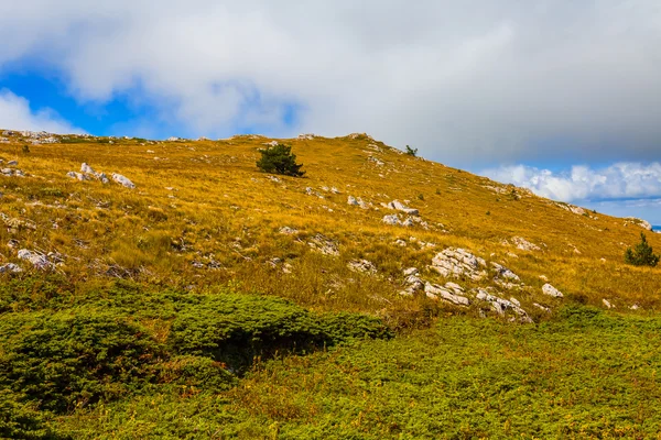 Autumn hills under a cloudy sky scene