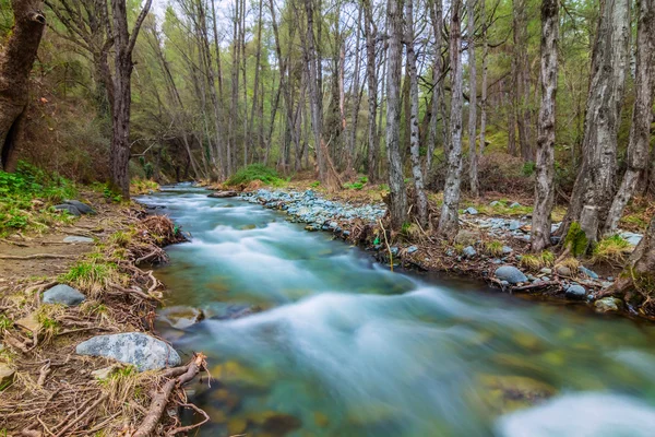 Cyprus, emerald rushing river scene