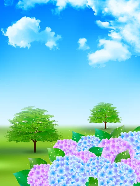 Hydrangea rainy season landscape background