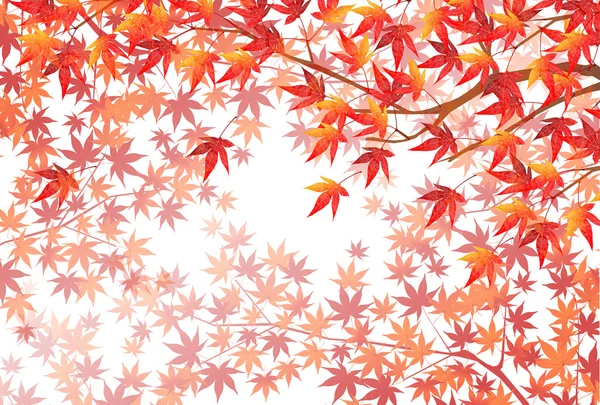 Autumn leaves autumn landscape background