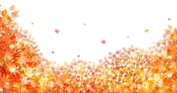 Autumn leaves autumn landscape background