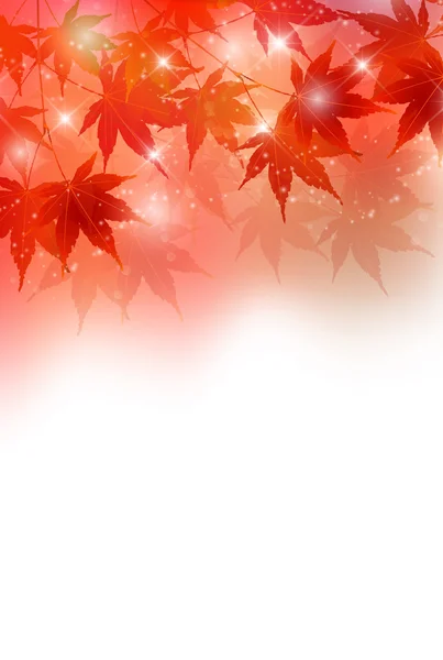 Autumn leaves autumn landscape background