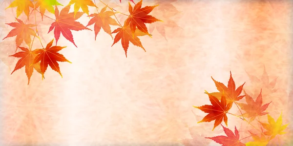 Autumn leaves autumn landscape background