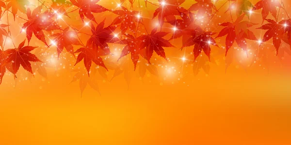 Autumn leaves autumn landscape background