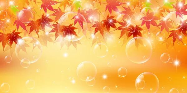 Autumn leaves autumn landscape background