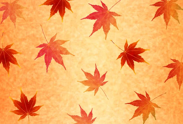 Autumn leaves autumn landscape background
