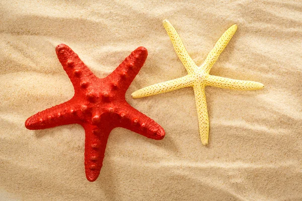 Decorative sea stars on the sand