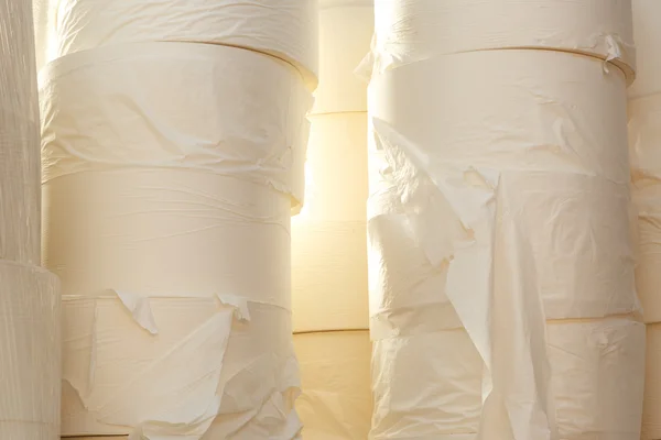 Toilet paper rolls in closeup