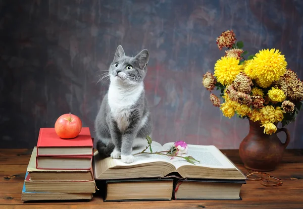 Cat posing for on books and flowers