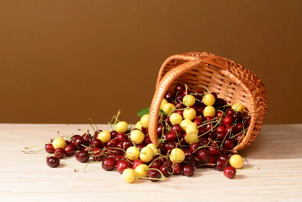 Red and white sweet cherries spilled from a woven basket