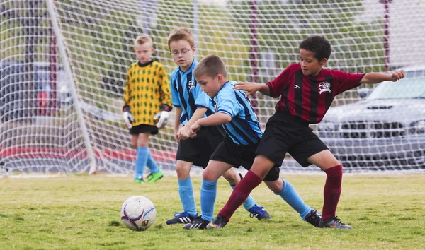 A Group of Youth Soccer Players Compete