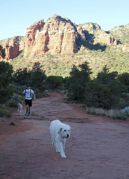 A Woman Runs with Her Dogs on Bell Rock Trail