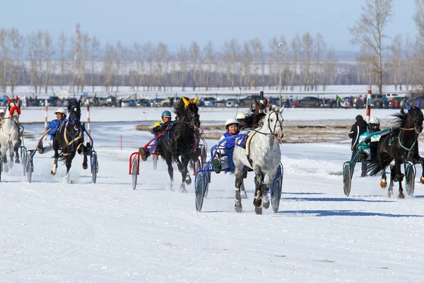 Winter arrivals on horses
