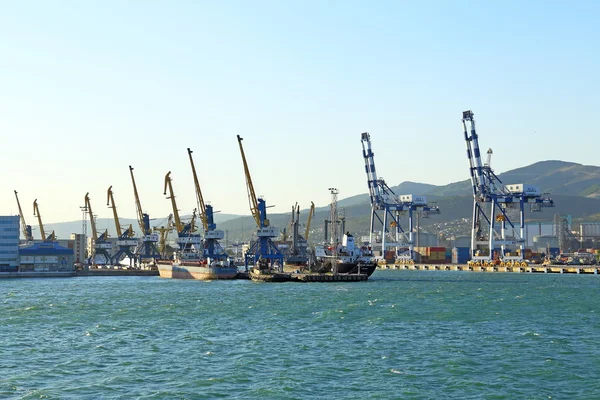 Novorossiysk bay and port constructions