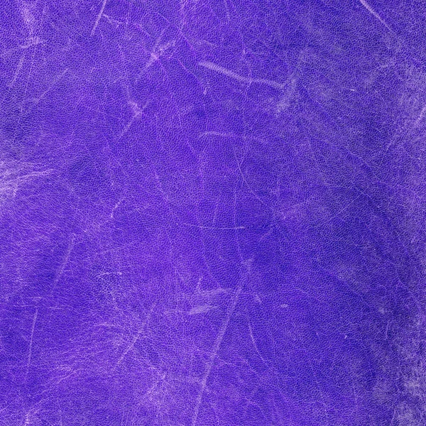 Violet old,scratched and worn leather texture