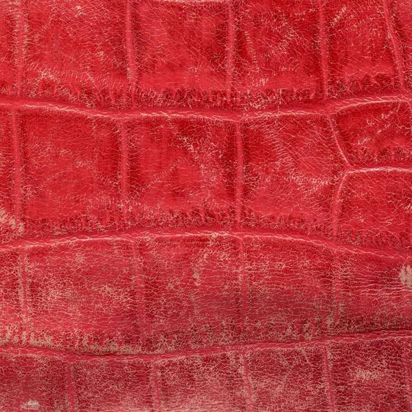 Old red leather goods in snakeskin