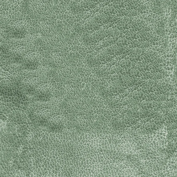 Old green wrinkled leather texture