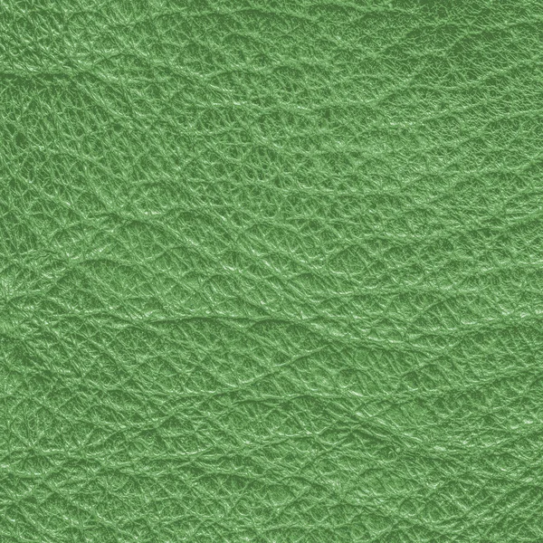 Bright green leather texture