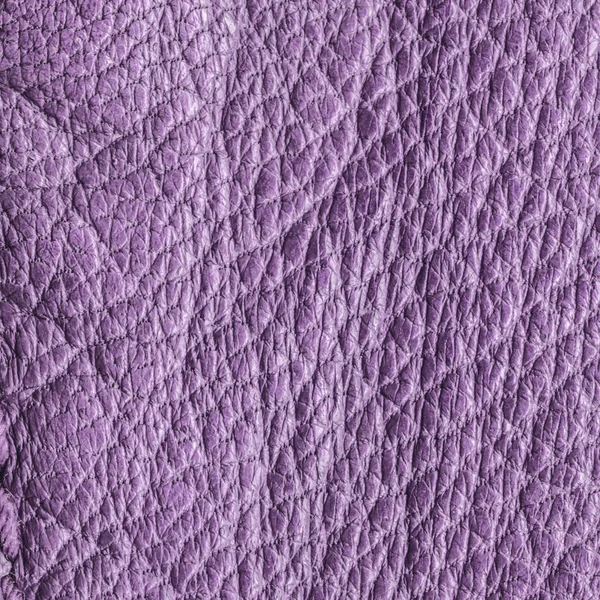 Violet leather background. Useful in design-work