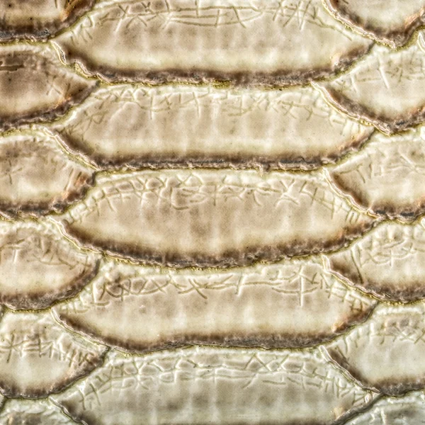 Light brown snake skin pattern closeup