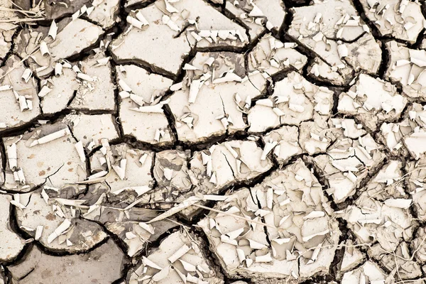 Cracked earth drought  dry riverbed disaster