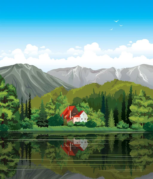 Summer landscape with house, forest and lake.