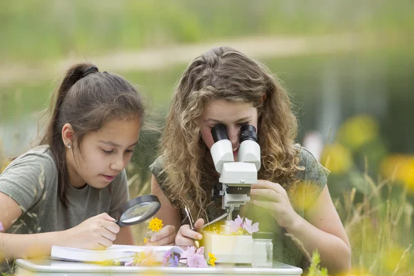 Pretty young girls having outdoor science lesson  exploring natu